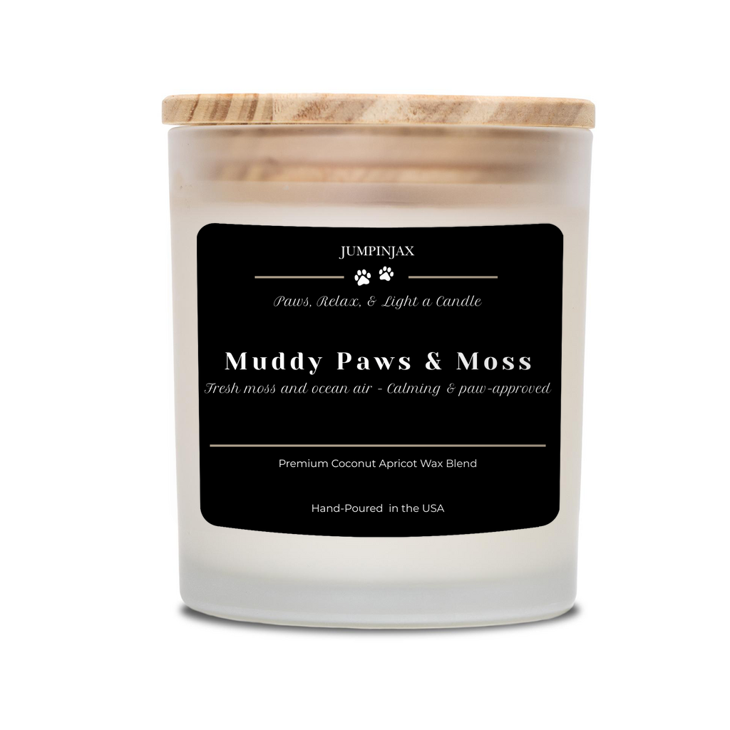 46400550633661698e5419c6219